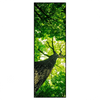 Xxl Wandbild Baum Im Wald Schmal Produktvorschau Frontal