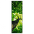 Xxl Wandbild Baum Im Wald Schmal Produktvorschau Frontal