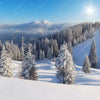 Xxl Wandbild Berge Und Waelder In Schnee Quadrat Motivvorschau