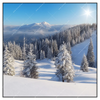Xxl Wandbild Berge Und Waelder In Schnee Quadrat Produktvorschau Frontal