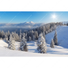Xxl Wandbild Berge Und Waelder In Schnee Querformat Motivvorschau
