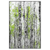 Xxl Wandbild Birkenwald Hochformat Produktvorschau Frontal