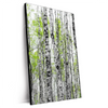Xxl Wandbild Birkenwald Hochformat Produktvorschau Seitlich