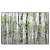 Xxl Wandbild Birkenwald Querformat Produktvorschau Frontal