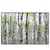 Xxl Wandbild Birkenwald Querformat Produktvorschau Frontal