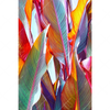 Xxl Wandbild Blaetter In Bunten Farben Hochformat Motivvorschau
