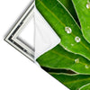 Xxl Wandbild Blatt Mit Wassertropfen Hochformat Materialvorschau