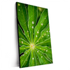 Xxl Wandbild Blatt Mit Wassertropfen Hochformat Produktvorschau Seitlich