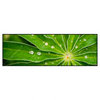 Xxl Wandbild Blatt Mit Wassertropfen Panorama Produktvorschau Frontal