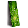 Xxl Wandbild Blatt Mit Wassertropfen Schmal Produktvorschau Seitlich