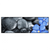 Xxl Wandbild Blaue Blume Graue Steine Panorama Produktvorschau Frontal