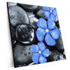 Xxl Wandbild Blaue Blume Graue Steine Quadrat Produktvorschau Seitlich
