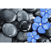 Xxl Wandbild Blaue Blume Graue Steine Querformat Motivvorschau