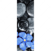 Xxl Wandbild Blaue Blume Graue Steine Schmal Motivvorschau