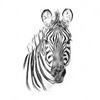 Xxl Wandbild Bleistiftzeichnung Zebra Hochformat Motivvorschau
