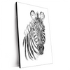 Xxl Wandbild Bleistiftzeichnung Zebra Hochformat Produktvorschau Seitlich