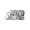 Xxl Wandbild Bleistiftzeichnung Zebra Panorama Motivvorschau