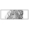 Xxl Wandbild Bleistiftzeichnung Zebra Panorama Produktvorschau Frontal