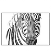 Xxl Wandbild Bleistiftzeichnung Zebra Querformat Produktvorschau Frontal