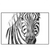 Xxl Wandbild Bleistiftzeichnung Zebra Querformat Produktvorschau Frontal