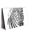 Xxl Wandbild Bleistiftzeichnung Zebra Querformat Produktvorschau Seitlich