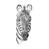 Xxl Wandbild Bleistiftzeichnung Zebra Schmal Motivvorschau