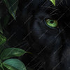 Xxl Wandbild Blick Des Panthers Querformat Zoom