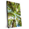 Xxl Wandbild Blick In Baumkronen Hochformat Produktvorschau Seitlich