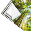 Xxl Wandbild Blick In Baumkronen Quadrat Materialvorschau