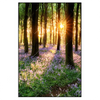 Xxl Wandbild Bluehender Wald Bei Sonnenaufgang Hochformat Produktvorschau Frontal