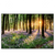 Xxl Wandbild Bluehender Wald Bei Sonnenaufgang Querformat Produktvorschau Frontal