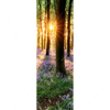 Xxl Wandbild Bluehender Wald Bei Sonnenaufgang Schmal Motivvorschau