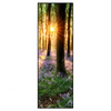 Xxl Wandbild Bluehender Wald Bei Sonnenaufgang Schmal Produktvorschau Frontal