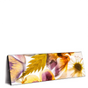 Xxl Wandbild Blumen Collage No 1 Panorama Produktvorschau Seitlich