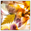 Xxl Wandbild Blumen Collage No 1 Quadrat Produktvorschau Frontal