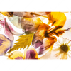 Xxl Wandbild Blumen Collage No 1 Querformat Motivvorschau