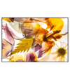 Xxl Wandbild Blumen Collage No 1 Querformat Produktvorschau Frontal