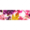 Xxl Wandbild Blumen Collage No 2 Panorama Motivvorschau