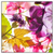 Xxl Wandbild Blumen Collage No 2 Quadrat Produktvorschau Frontal