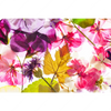 Xxl Wandbild Blumen Collage No 2 Querformat Motivvorschau