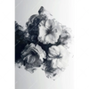 Xxl Wandbild Blumen Im Schwarzen Farbnebel Hochformat Motivvorschau