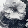 Xxl Wandbild Blumen Im Schwarzen Farbnebel Hochformat Zoom