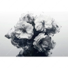 Xxl Wandbild Blumen Im Schwarzen Farbnebel Querformat Motivvorschau