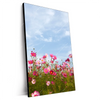 Xxl Wandbild Blumenwiese Bei Strahlend Blauem Himmel Hochformat Produktvorschau Seitlich