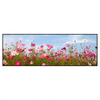 Xxl Wandbild Blumenwiese Bei Strahlend Blauem Himmel Panorama Produktvorschau Frontal