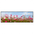 Xxl Wandbild Blumenwiese Bei Strahlend Blauem Himmel Panorama Produktvorschau Frontal