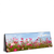 Xxl Wandbild Blumenwiese Bei Strahlend Blauem Himmel Panorama Produktvorschau Seitlich