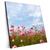 Xxl Wandbild Blumenwiese Bei Strahlend Blauem Himmel Quadrat Produktvorschau Seitlich