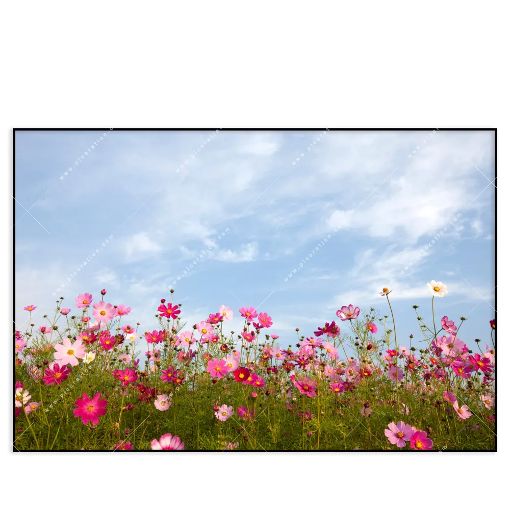 🖼️ XXL-Wandbild