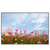 Xxl Wandbild Blumenwiese Bei Strahlend Blauem Himmel Querformat Produktvorschau Frontal